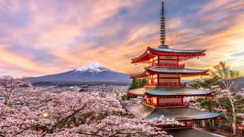 View Cruise2028 Luxury Cherry Blossoms, Pacific Passage & Glacier BayDeal