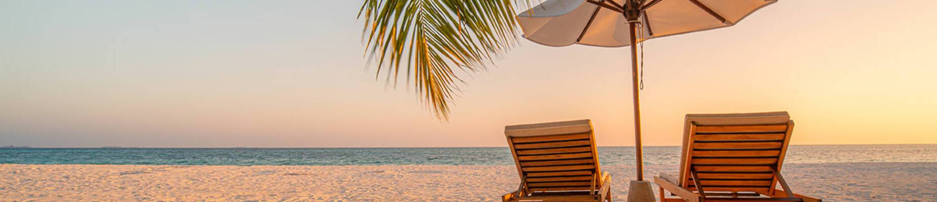 Different types of cruises