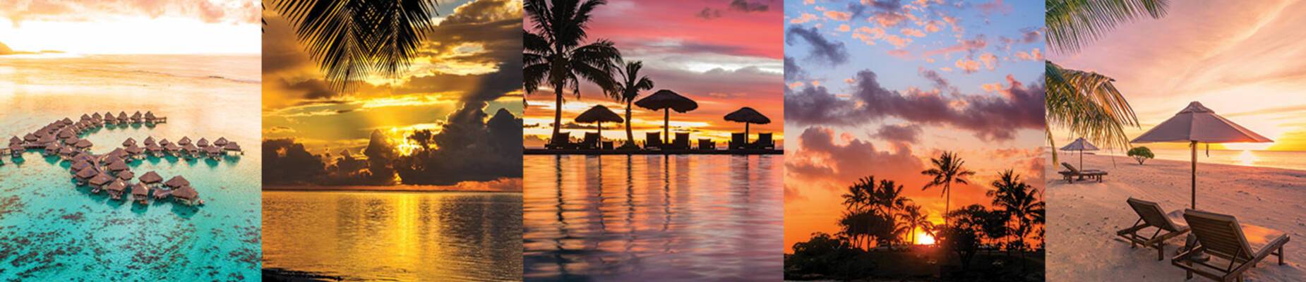 South Pacific Cruises