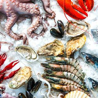 Best seafood around the world | ROL Cruise Blog