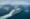 Panoramic image of Silver Dawn at sea