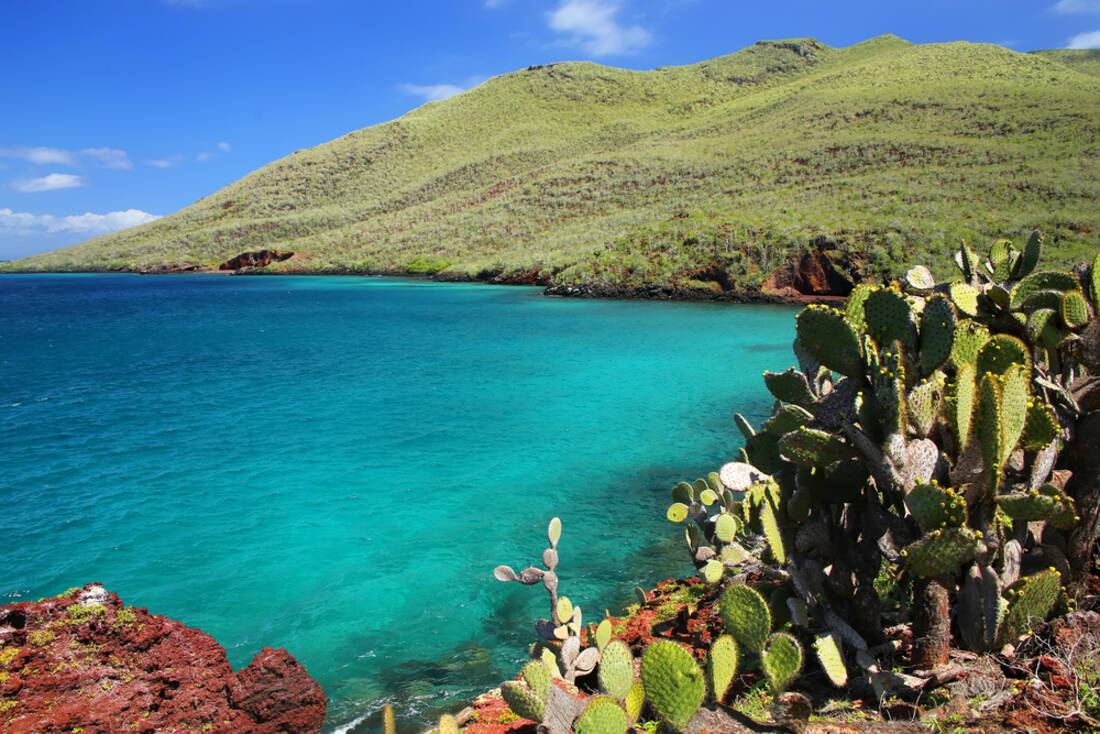 Galapagos Islands – A one of a kind wildlife destination