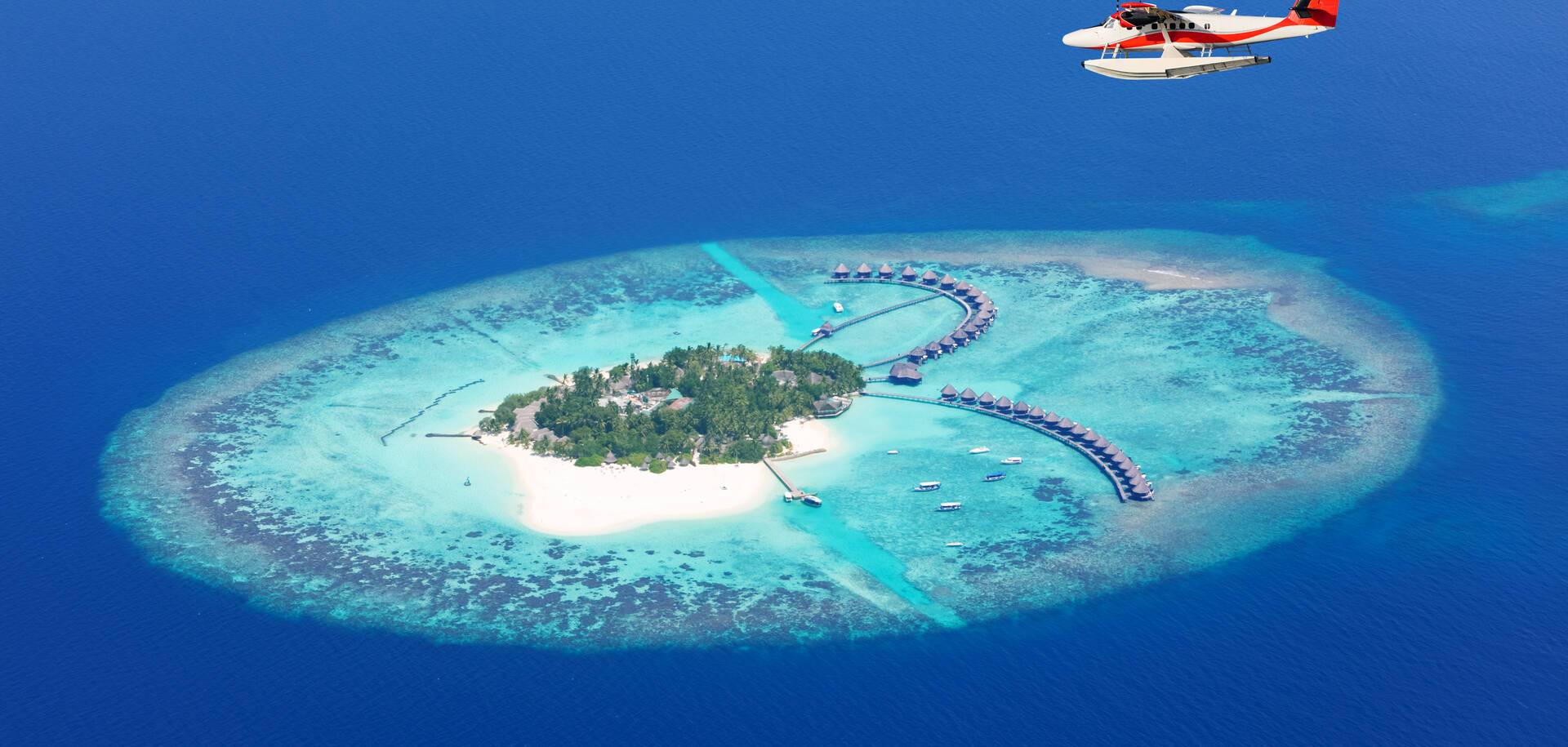 Maldives Cruises 2024/25 Cruises to the Maldives ROL Cruise