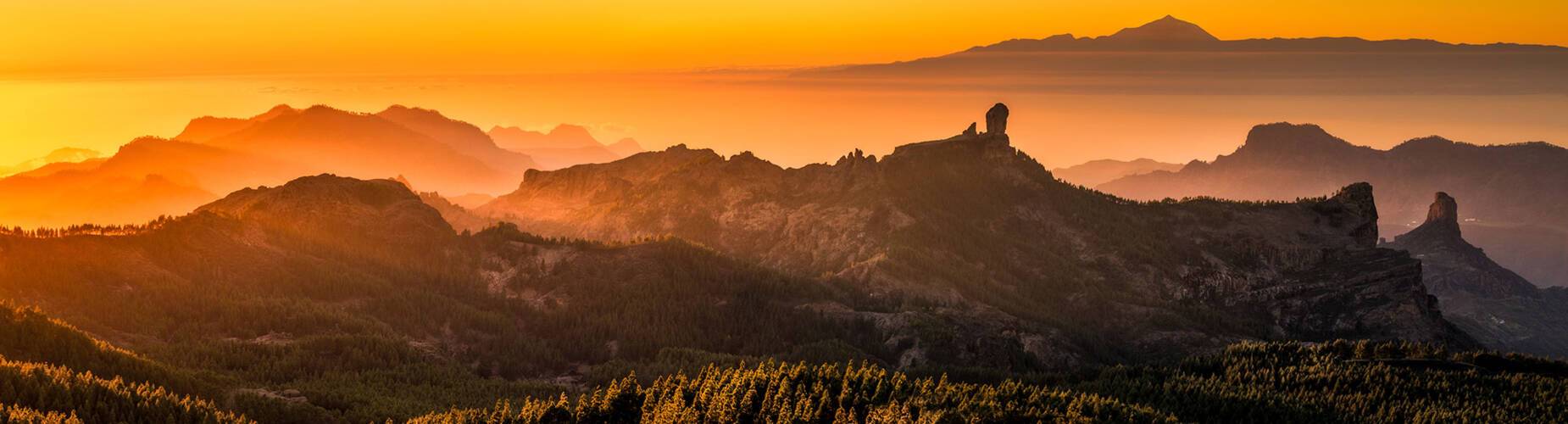 Gran Canaria Cruises