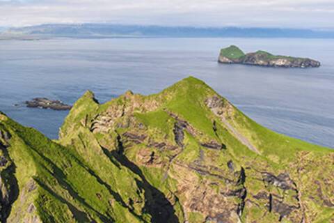 Woman looking out over the cliffs in Heimaey