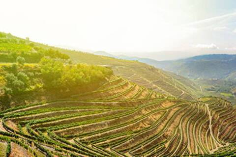 The Douro Valley in Peso da Régua