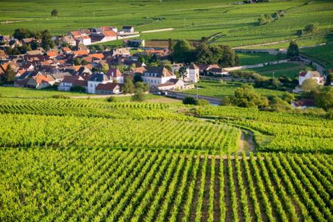 Beaune, France