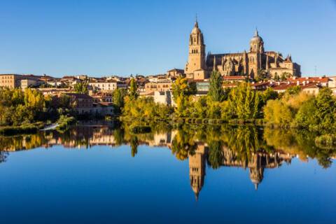 Vega de Terrón (for Salamanca), Spain