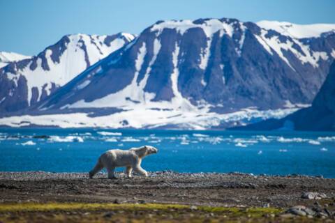 Exploring Spitsbergen