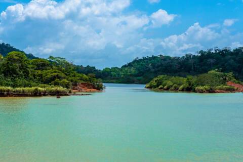 Gatun Lake