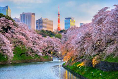 Tokyo, Japan