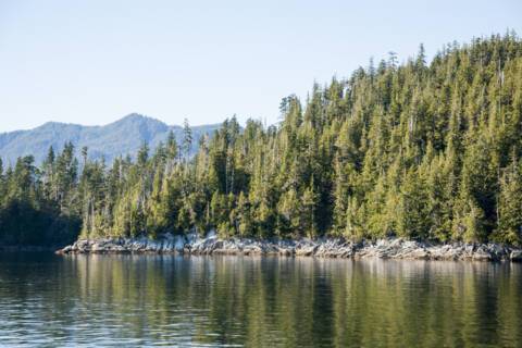 Misty Fiords