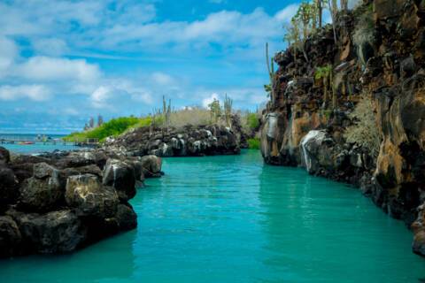 Visit Puerto Ayora on a cruise to the Galapagos Islands