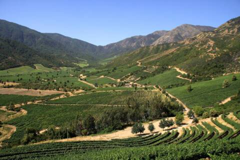 Maipo Valley