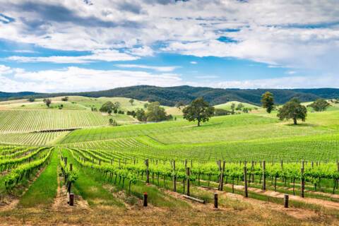 Barossa Valley, Australia