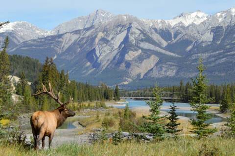 Jasper National Park, Canada