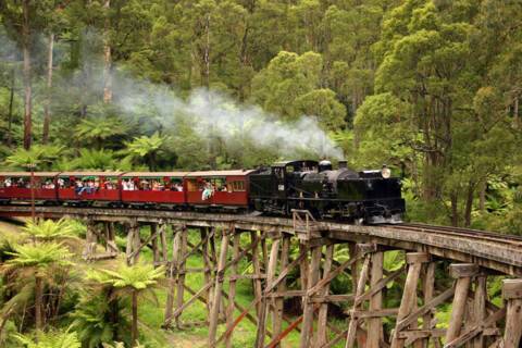 Dandenong Ranges