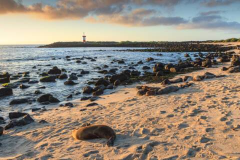 Visit Puerto Baquerizo on a cruise to the Galapagos Islands