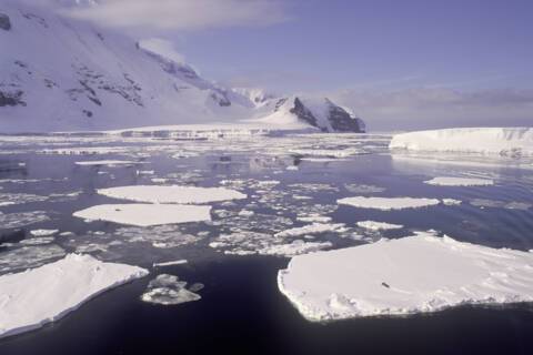 Balleny Islands, New Zealand, Antarctica