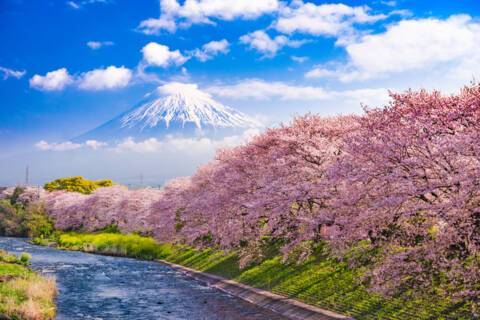 Tokyo, Japan