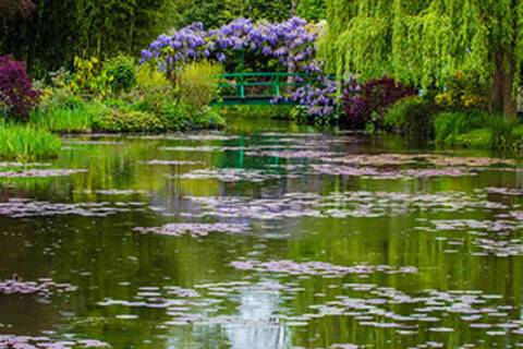 A garden in Giverny