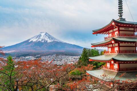 Mt Fuji (Shimizu)