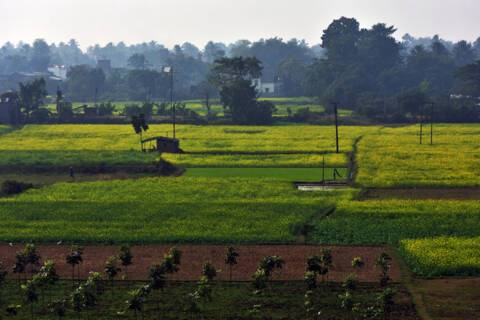 Matiari, India