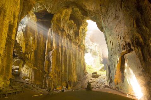 Gomantong Caves