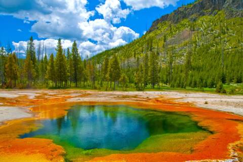 Yellowstone National Park