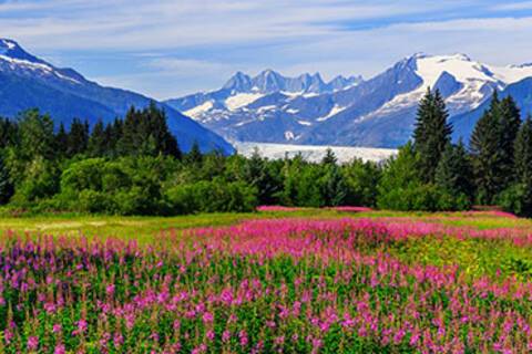 A panoramic view of Juneau