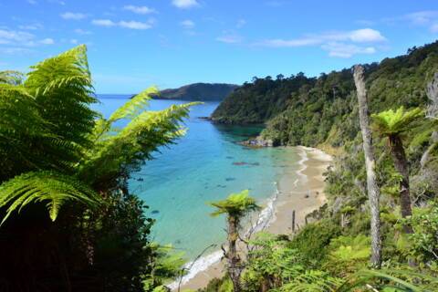 Stewart Island, New Zealand