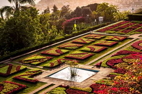 Funchal Cruises