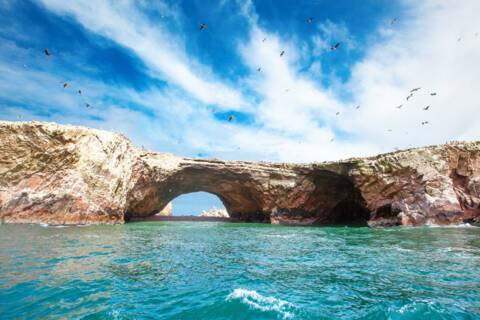 Birds in Ballestas Island (Paracas/Pisco, Peru)