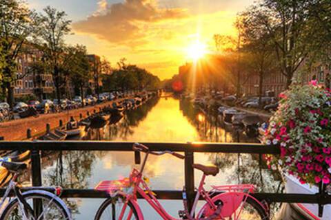 Bikes leaning against a fence in Amsterdam