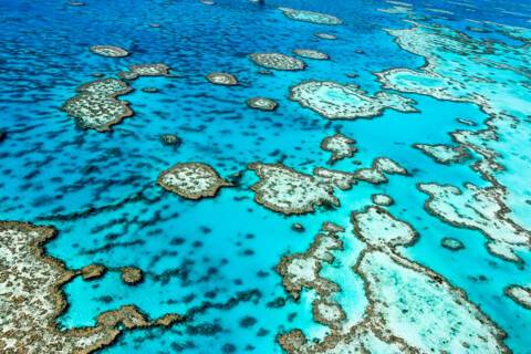 The Great Barrier Reef