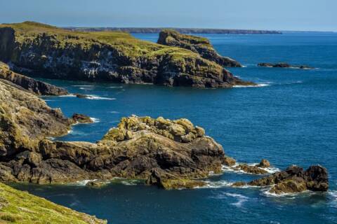 Skomer Island, Wales