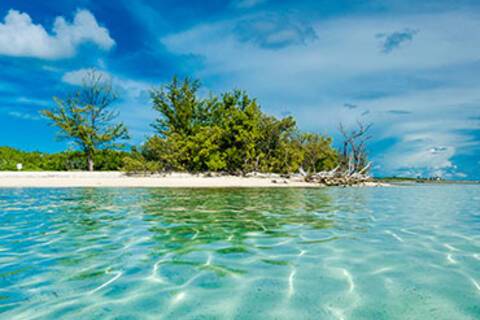 The clear waters near an island in Bimini