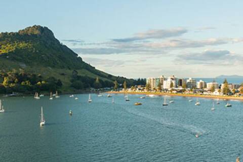 A panoramic view of Tauranga