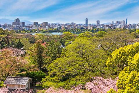 A panoramic view of Fukuoka from the view of Maizuru Park