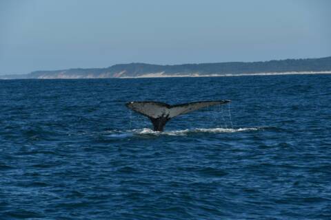 Richards Bay, South Africa