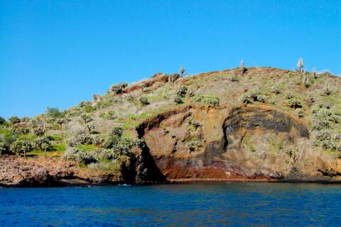 Champion Islet, Floreana