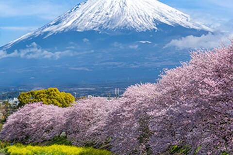 A view of Mount Fuji