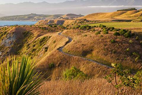 Golden sunset over Kaikoura