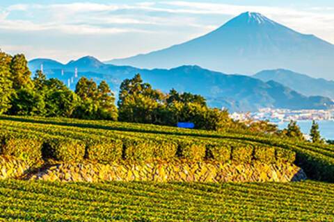 Sunrise over Mount Fuji