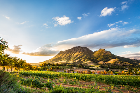 Stellenbosch, South Africa