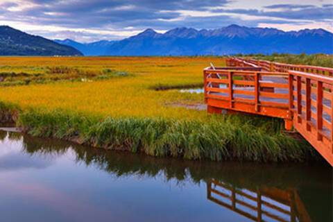 Potter Marsh Wildlife Viewing Boardwalk in Anchorage