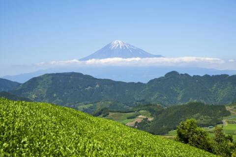 Shimizu, Japan