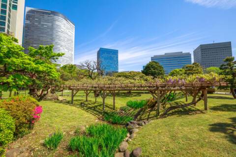 Tokyo, Japan