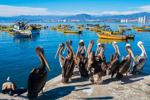 Coquimbo, Chile