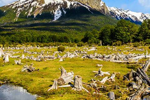 A panoramic view of Ushuaia